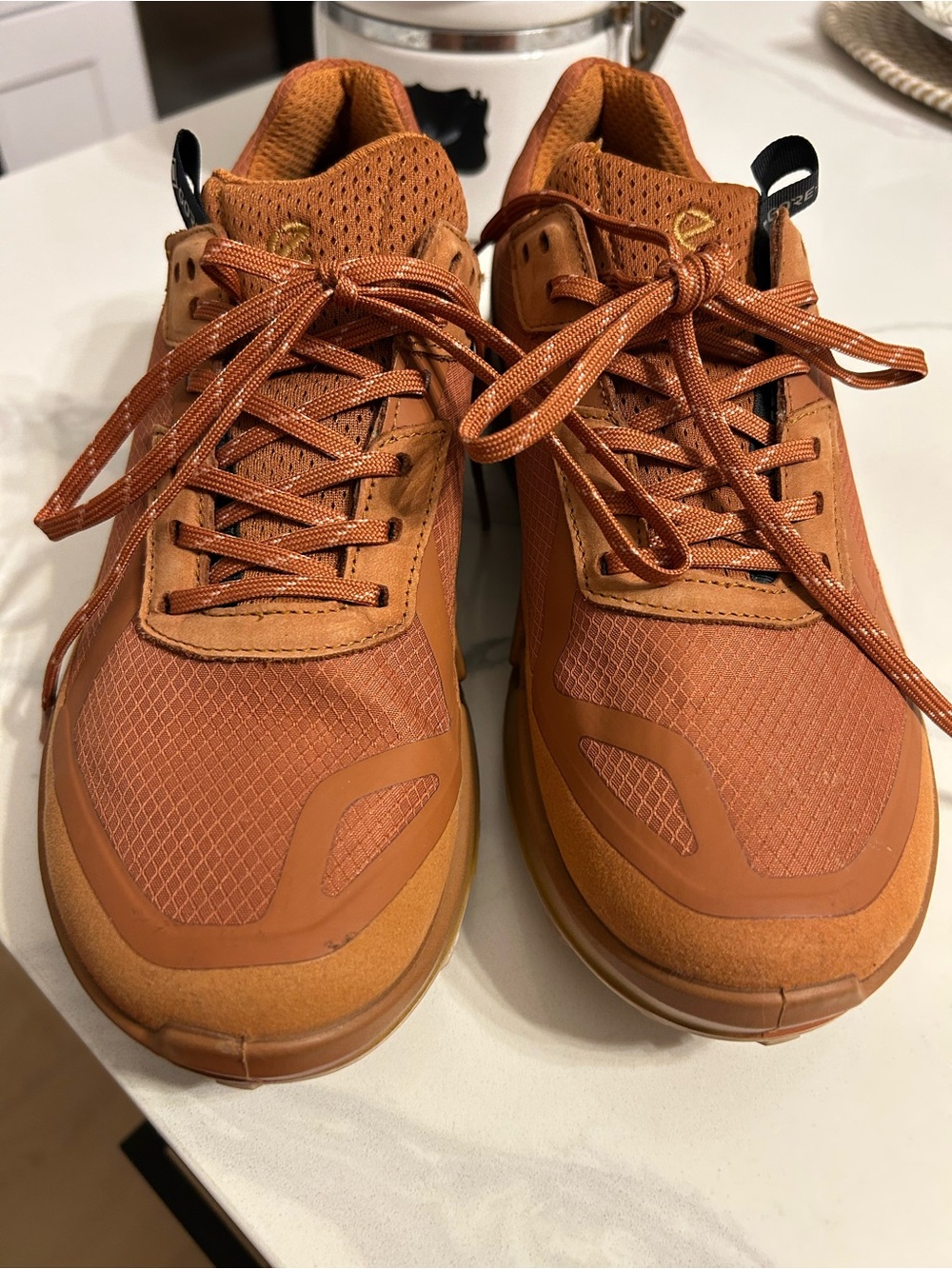 Women’s Ecco BIOM 2.1 GTX Sierra Burnt Orange Athletic Sneakers. Sz 7-7.5
